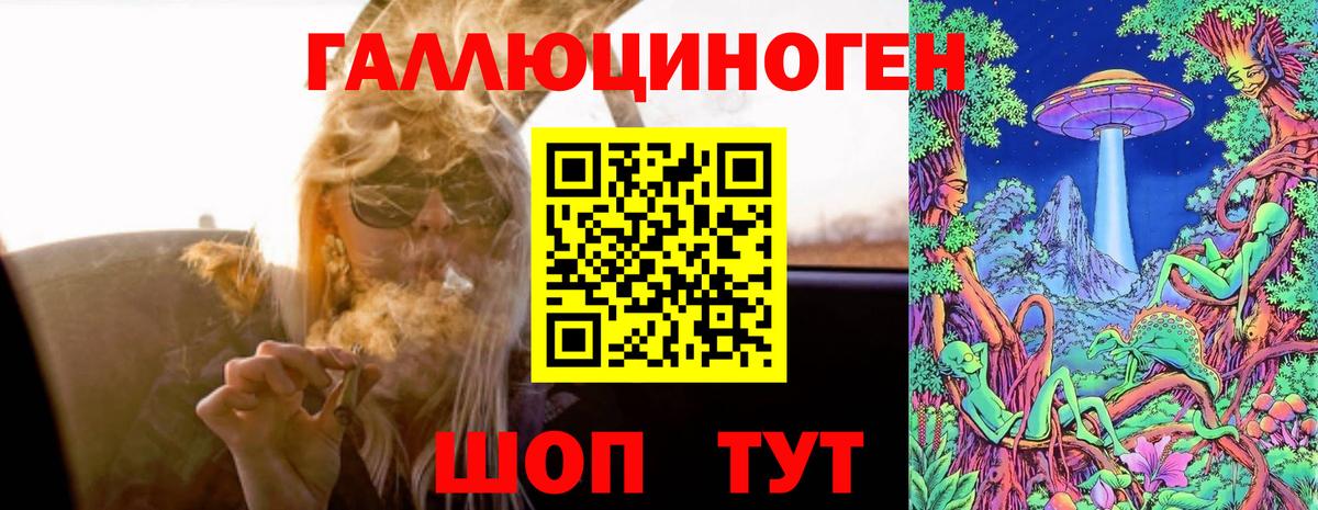 купить закладку  Псилоцибиновые грибы прущие грибы  Вход с VPN  Гусь-Хрустальный 